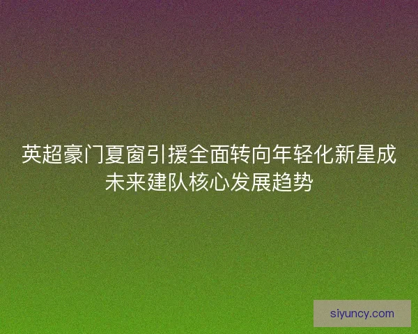 英超豪门夏窗引援全面转向年轻化新星成未来建队核心发展趋势 英超豪门夏窗引援全面转向年轻化新星成未来建队核心发展趋势
