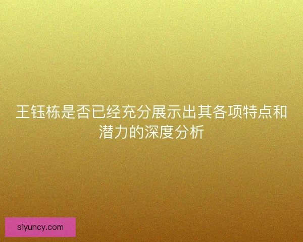 王钰栋是否已经充分展示出其各项特点和潜力的深度分析